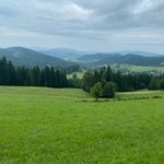 Użytkownik4404846