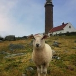 jadrabjeden1