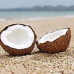 kokossss