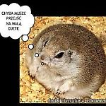 oleczkaaaaa