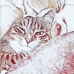 Virta