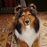 Epestka