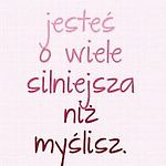 principlebroken