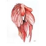 fenomenologiczna