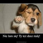 szampon2