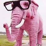 pinkelephant