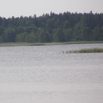 Anusinski