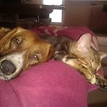 iwona610
