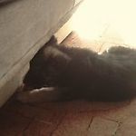 beti110278