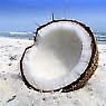 CoconutKiss