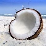 coconut1987