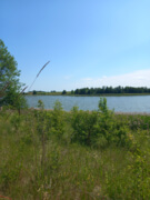 kasta1987
