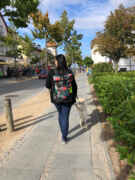 bilmece