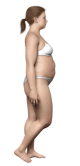 Obecna sylwetka