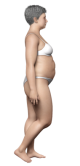 Obecna sylwetka
