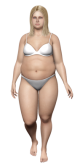 Obecna sylwetka