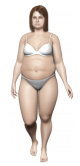 Obecna sylwetka