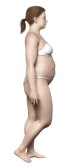 Obecna sylwetka