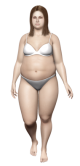 Obecna sylwetka